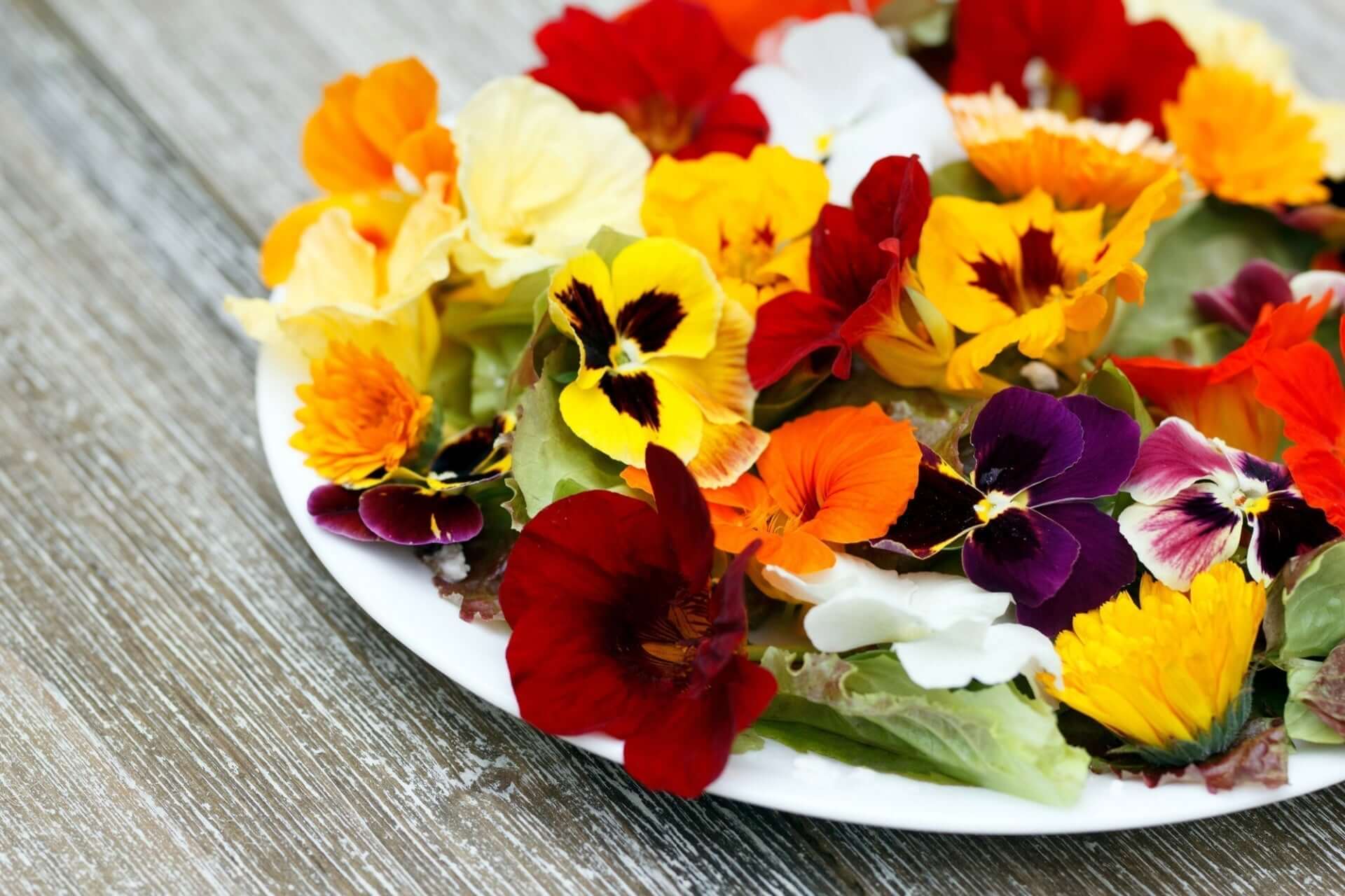 Vibrant edible pansies in red, yellow, orange, purple, white on plate