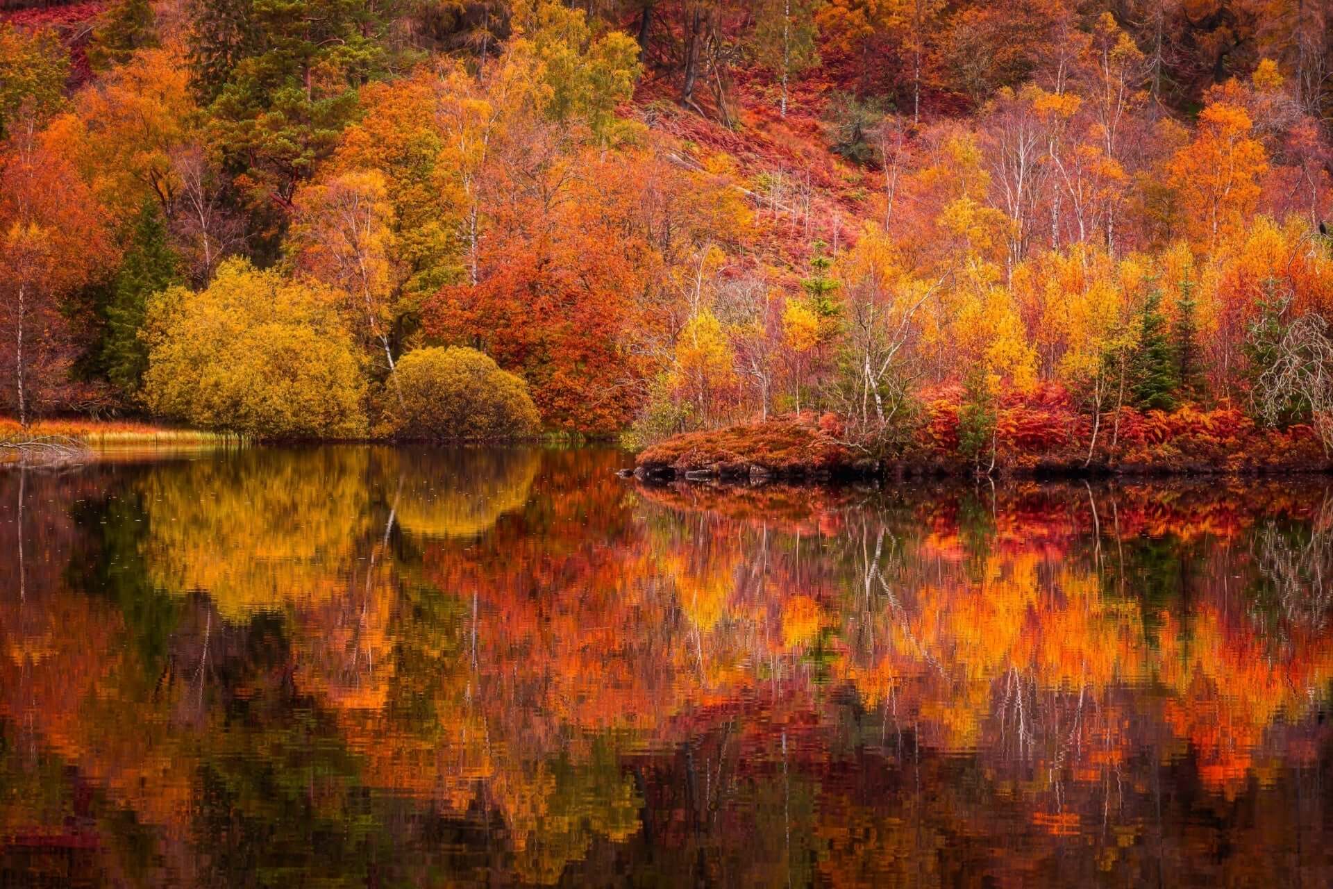 Serene autumn lake mirrors vibrant fall foliage of favorite trees
