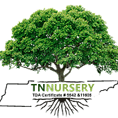 Wholesale Nursery Co