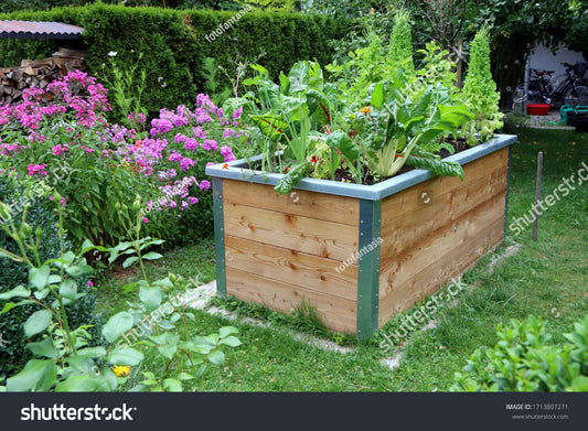 Rectangular wooden raised garden bed with metal edging and lush greens