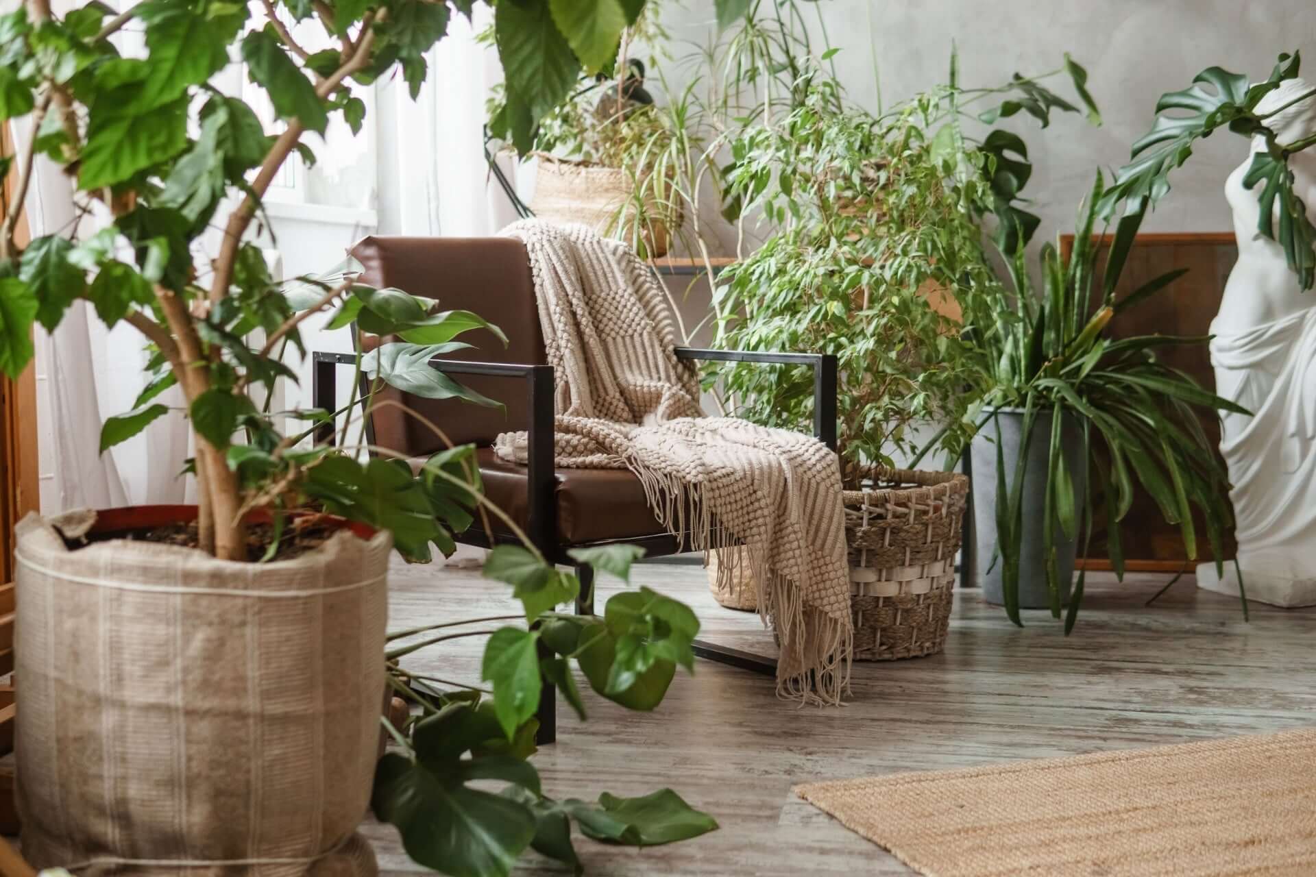 Cozy brown leather armchair with beige knitted throw for clean air rooms