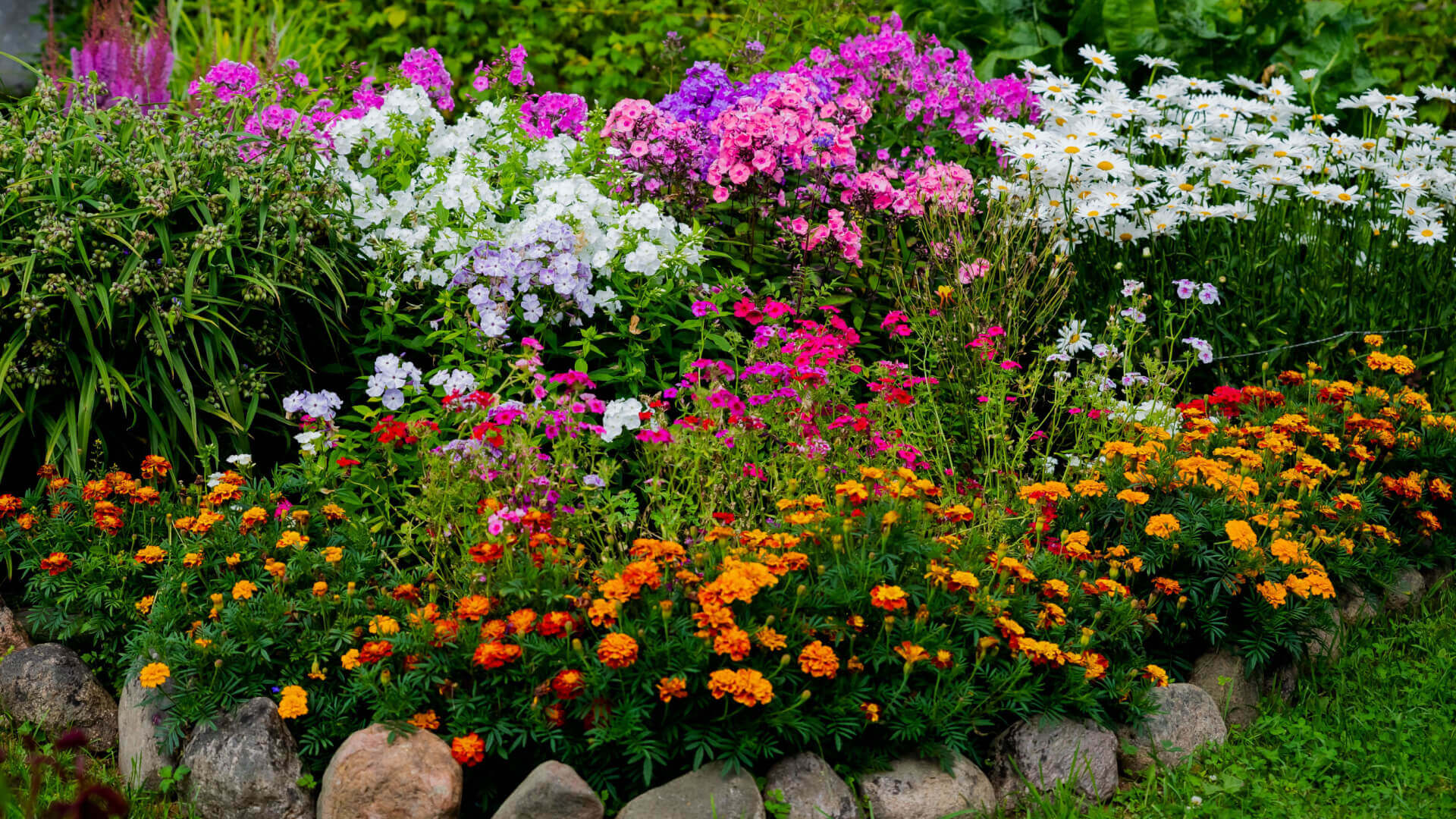 Vibrant fall perennial garden bed with purple, pink, white, orange, red flowers