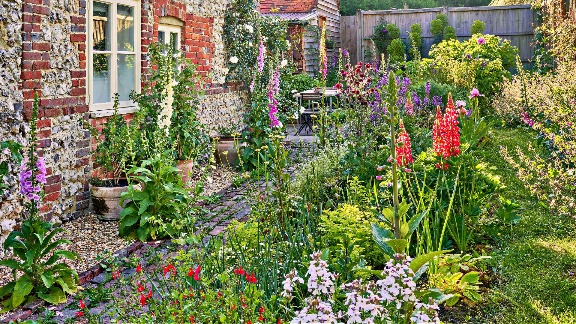 Vibrant cottage garden with purple, red, white foxgloves along cobblestone path