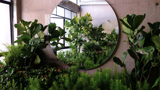 Circular mirror framed by lush green foliage in biophilic design
