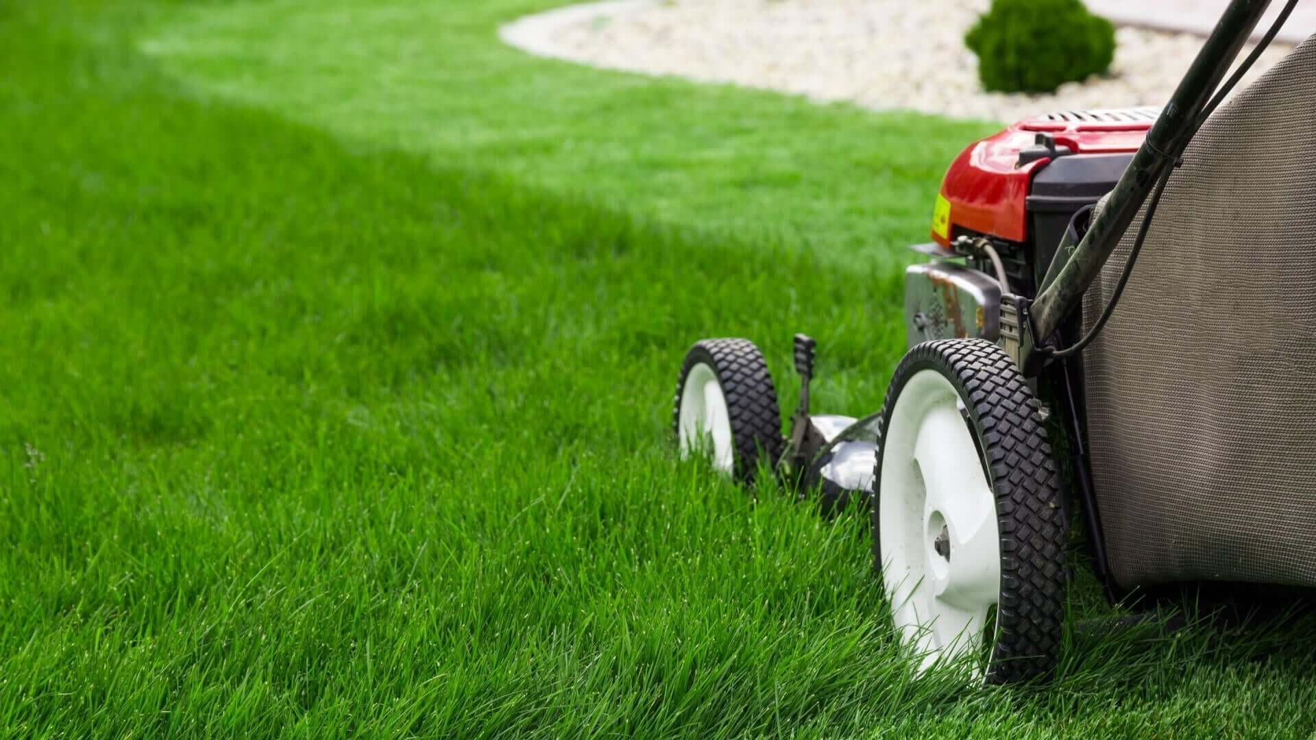 Red and black gas lawn mower with white wheels in maintenance article