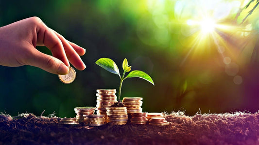 Hand placing gold coin on stacks with green sprout in thrifty garden savings