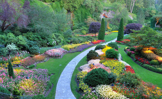 Winding stone path in vibrant landscaped garden for new landscape theme