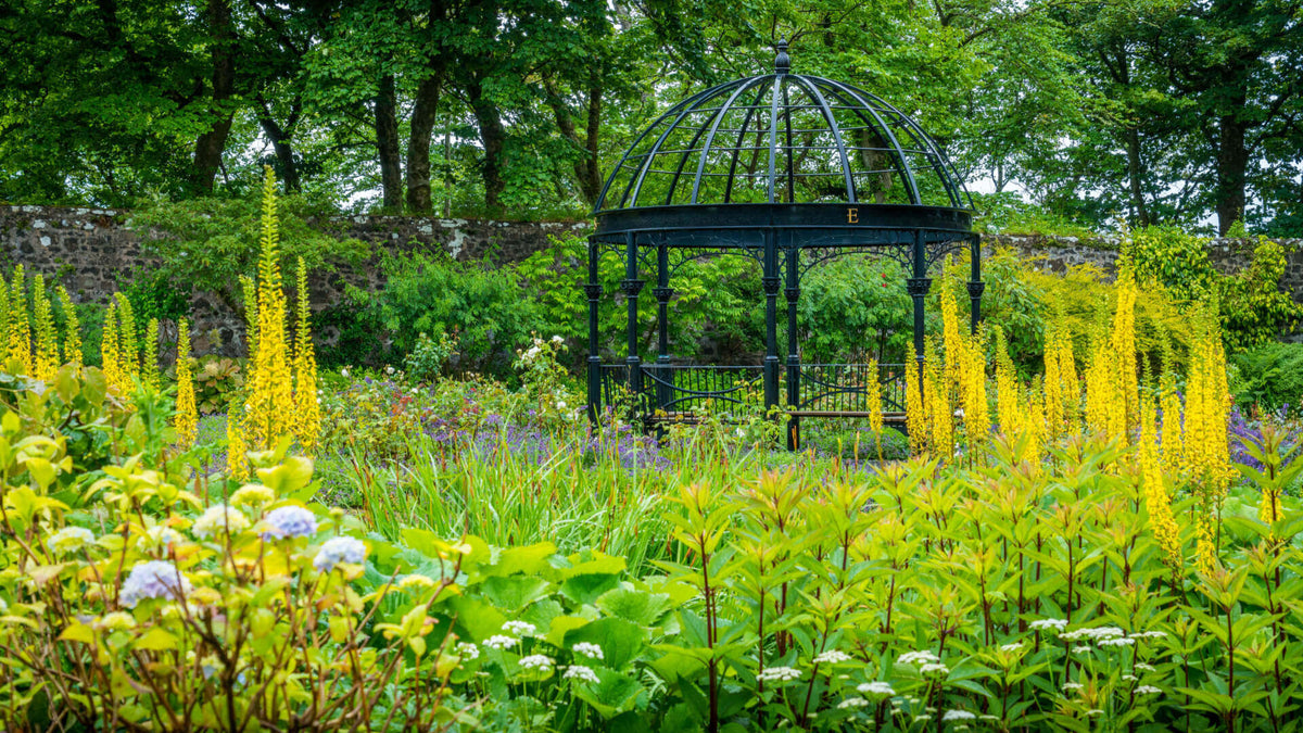 Black metal gazebo with domed roof in Scottish garden