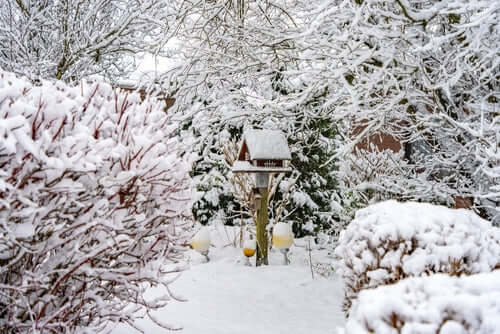 Snow-covered birdhouse with slanted roof and feeder in frosted branches