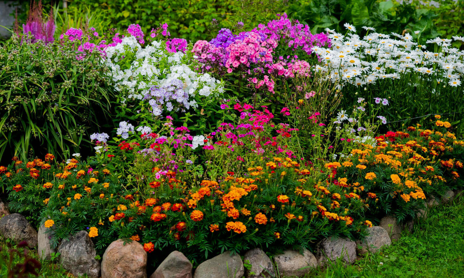 Vibrant perennial garden bed with colorful autumn flowers in purple, pink, white, orange, red