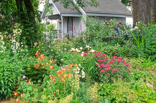 Vibrant chaos garden with pink, orange, white, purple flowers and lush green foliage