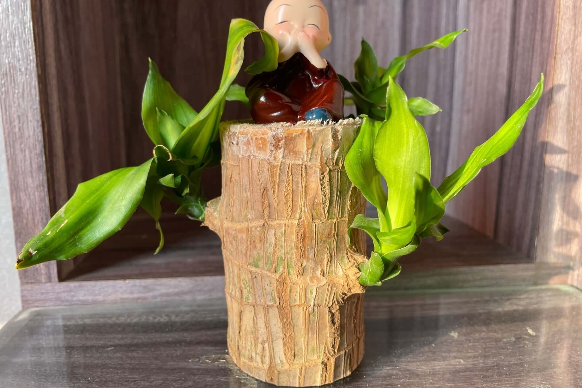Rustic Brazilian wood stump planter with red Buddha among green leaves