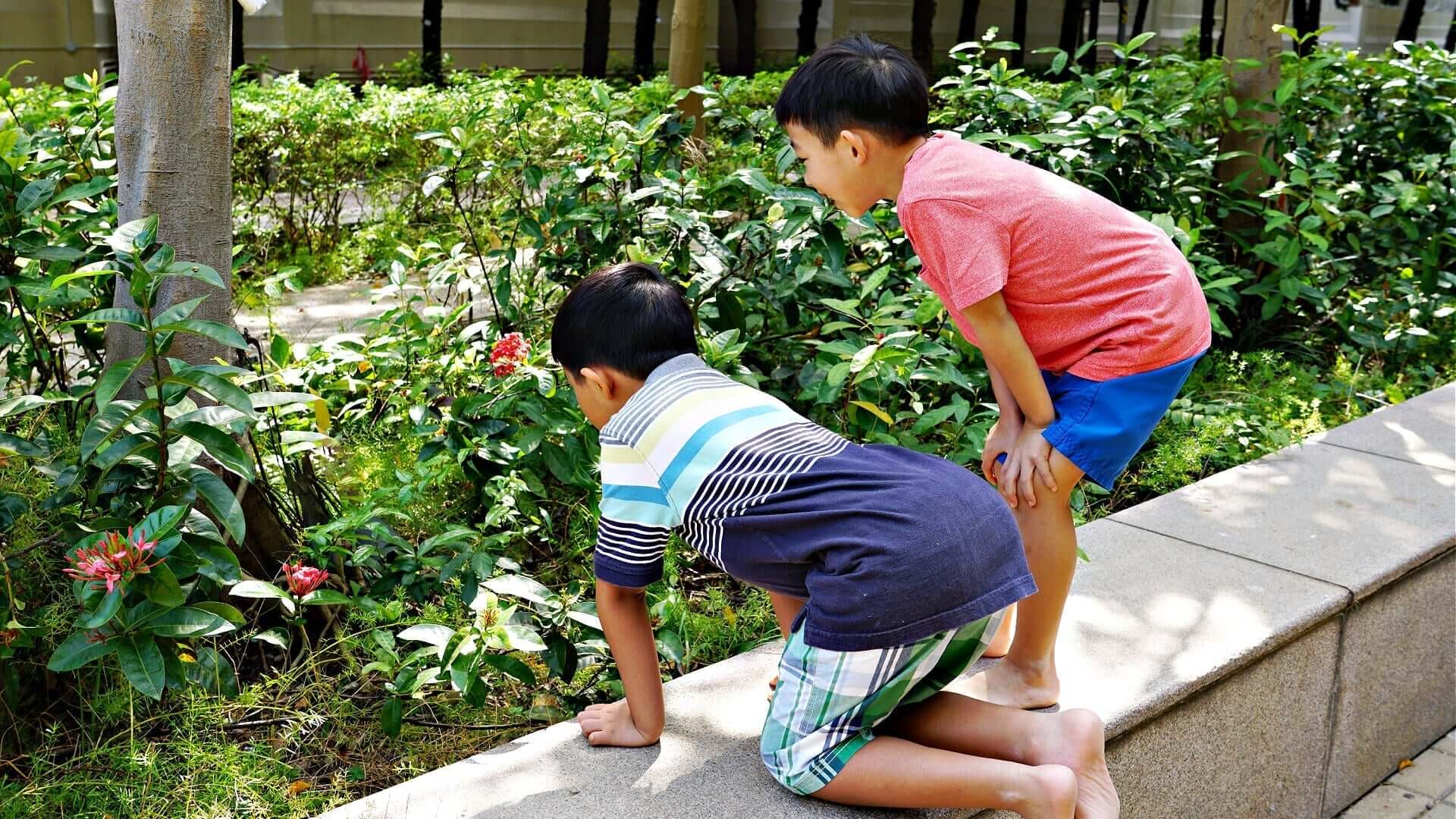 Two boys explore sensory garden on stone ledge in red shirt and plaid shorts