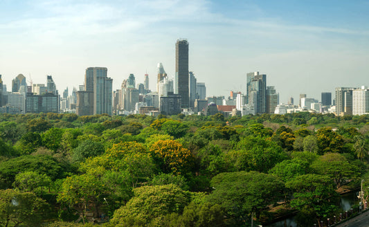 Urban tree canopy: lush green trees in park before modern city skyline