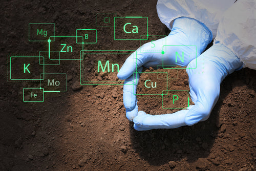 Soil Health