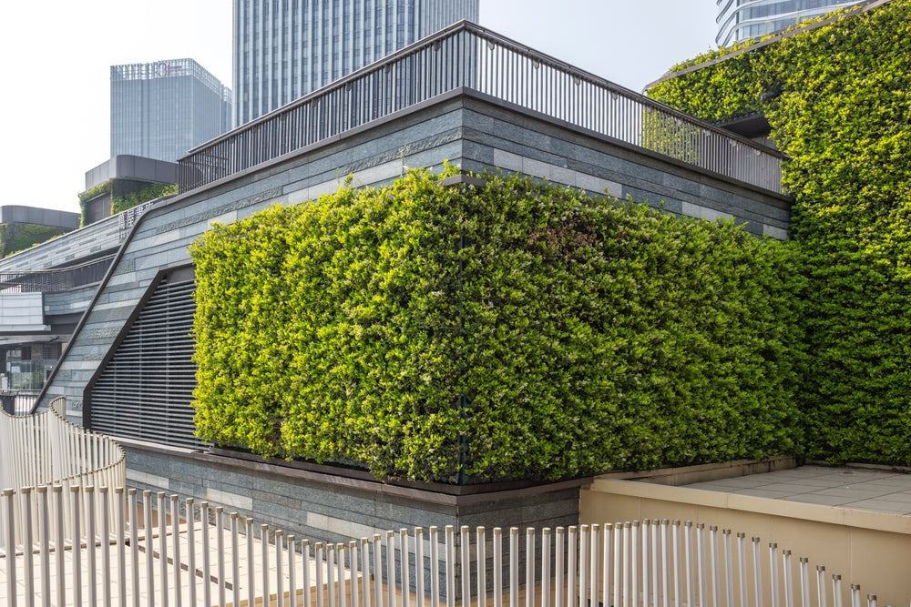 Lush living wall of vertical greenery on modern stone architecture