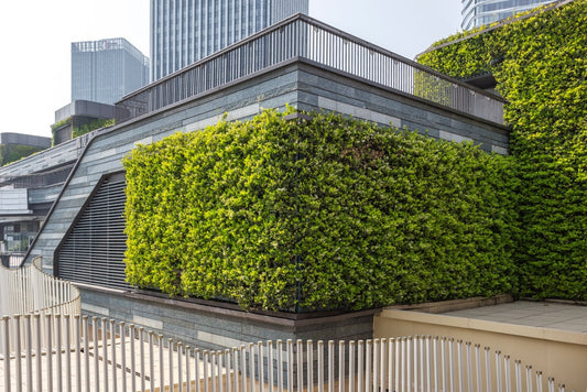 Lush living wall of vertical greenery on modern stone architecture