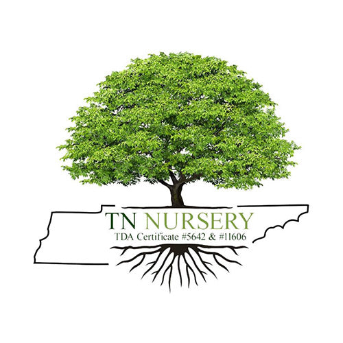 TN Nursery