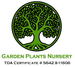 Wholesale Nursery Co