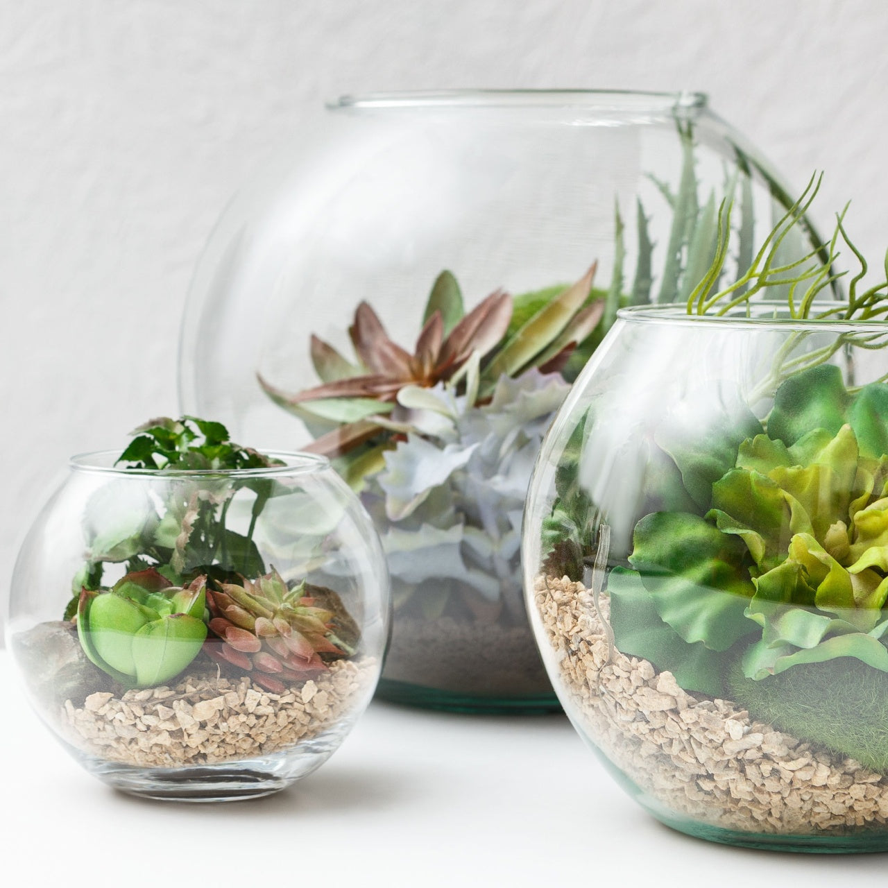 Terrarium Plant Kit