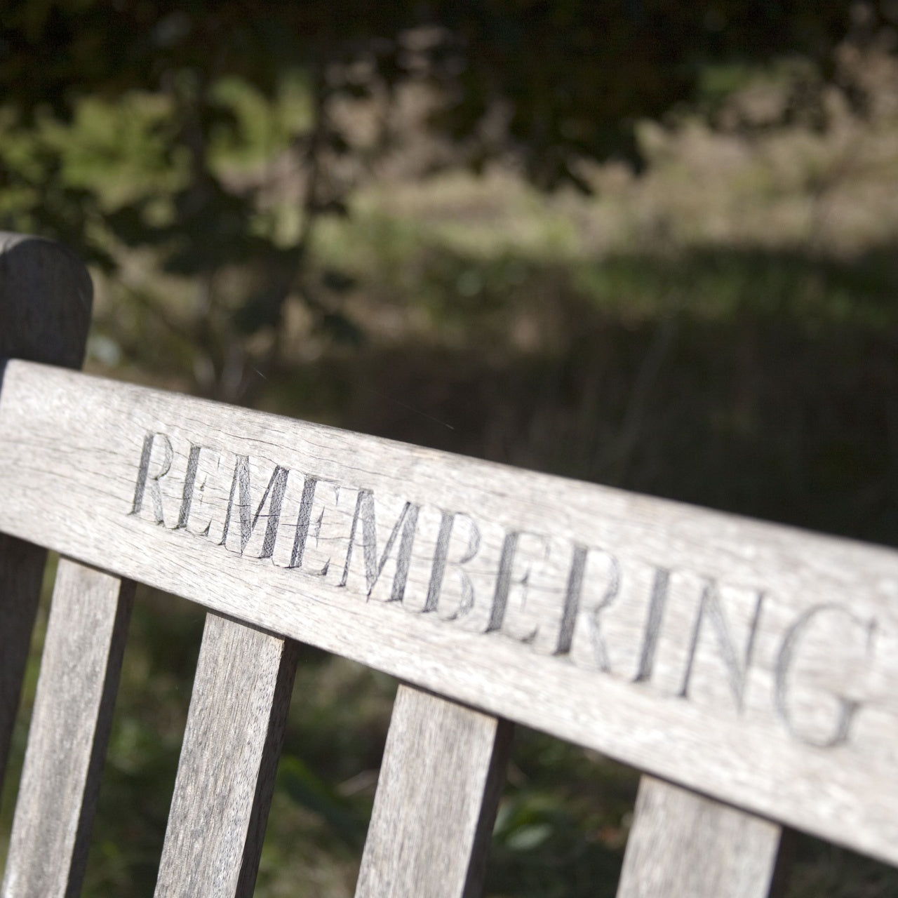 Memorial Tree - A Living Tribute