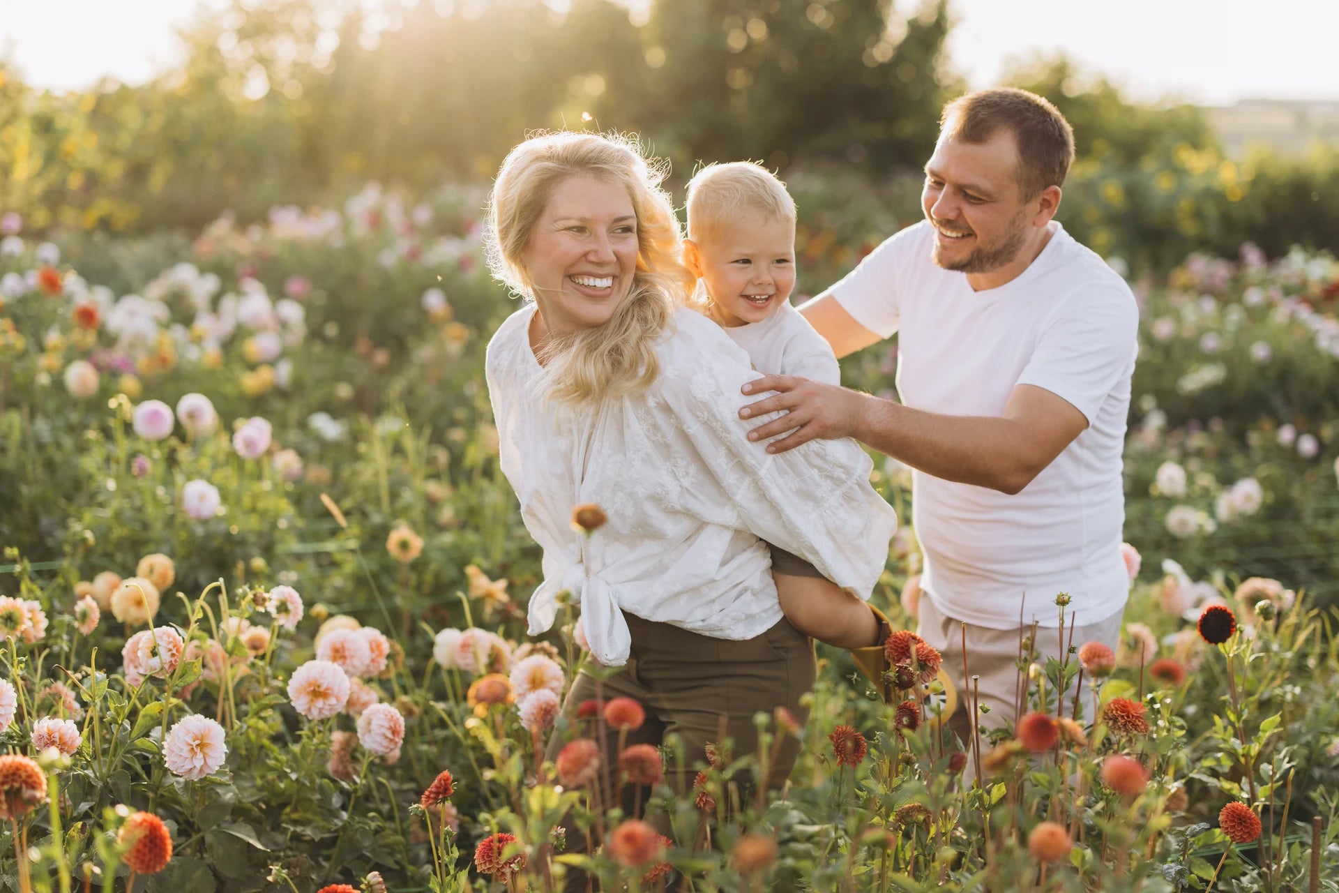 America’s Trusted Source for Native Plants Since 1959