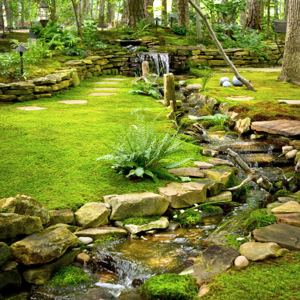 Serene mossy garden path with stone stepping stones and stream for Sheet Moss