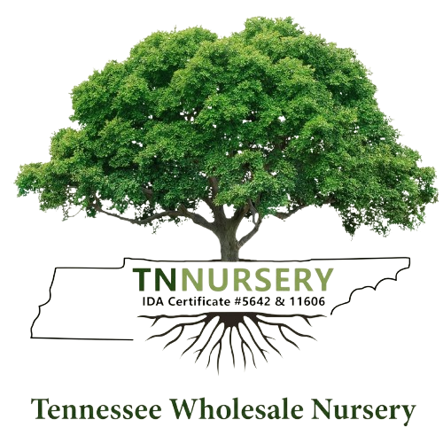 Wholesale Nursery Co